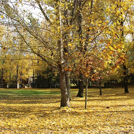 El Lago, Caceres Auberge de jeunesse