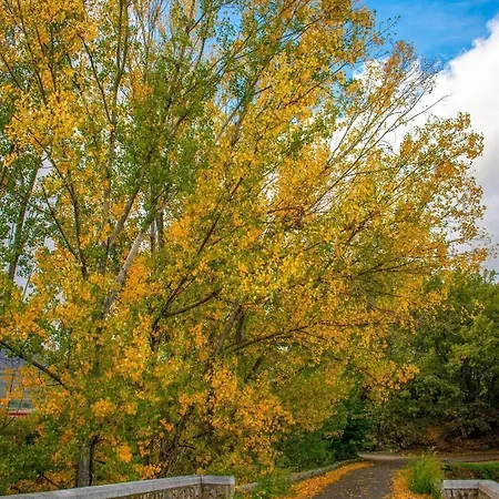 El Lago, Caceres Hostel *