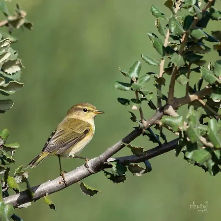 El Lago, Caceres * 하라이스 데 라 베라