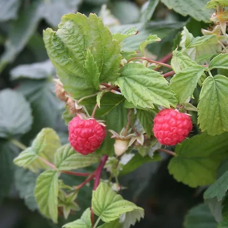 El Lago, Caceres Auberge de jeunesse Jaraiz de la Vera