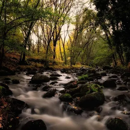 호스텔 El Lago, Caceres