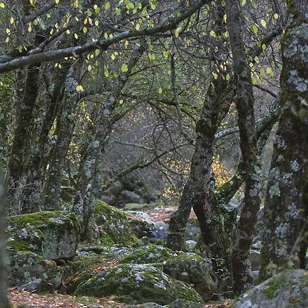 El Lago, Caceres