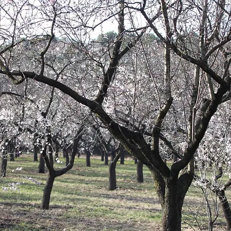 El Lago, Caceres بيت شباب *