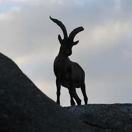 بيت شباب El Lago, Caceres جاريز دي لا فيرا