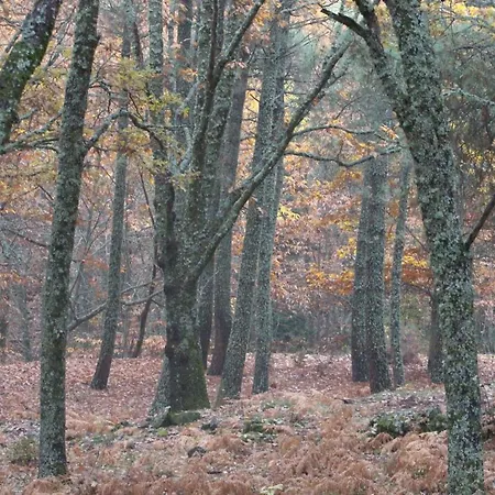 El Lago, Caceres جاريز دي لا فيرا