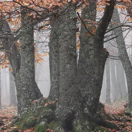 El Lago, Caceres بيت شباب *