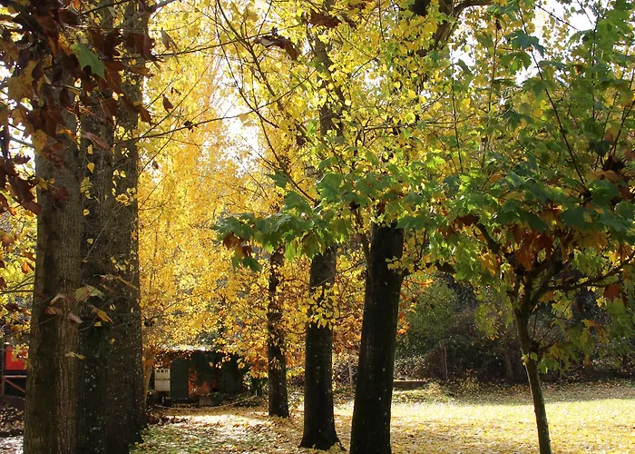 El Lago, Caceres Ostello *