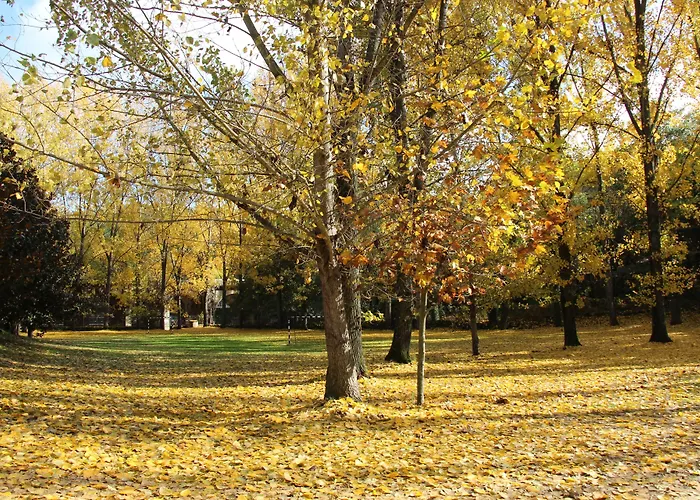 El Lago, Caceres 호스텔