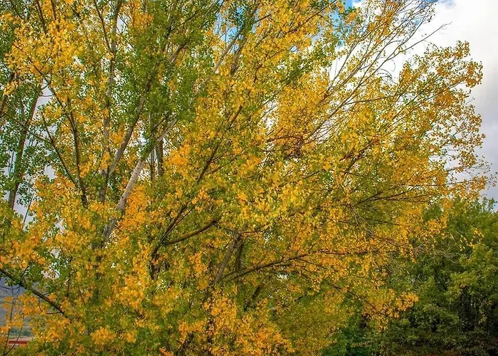 El Lago, Caceres Ostello *