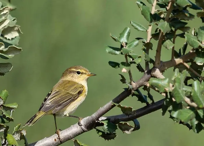 El Lago, Caceres * 하라이스 데 라 베라