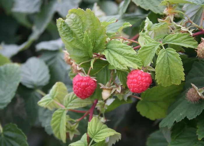 El Lago, Caceres Auberge de jeunesse Jaraiz de la Vera