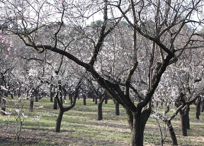 El Lago, Caceres Ostello *