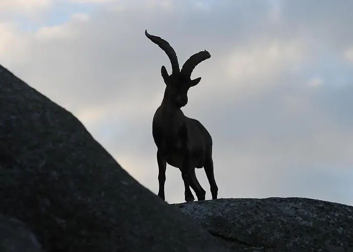 Hostal El Lago, Caceres Jaraíz de la Vera