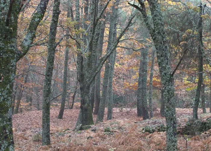 El Lago, Caceres 하라이스 데 라 베라