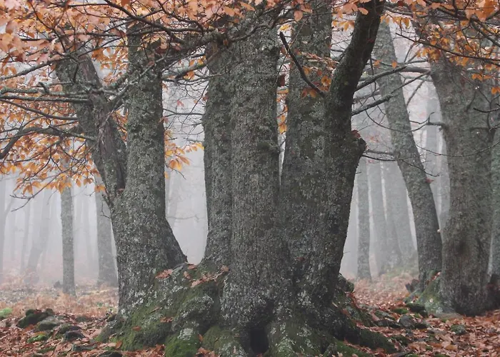 El Lago, Caceres Vandrerhjem *