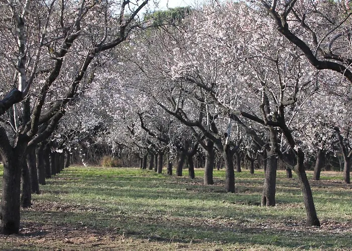 Ostello El Lago, Caceres